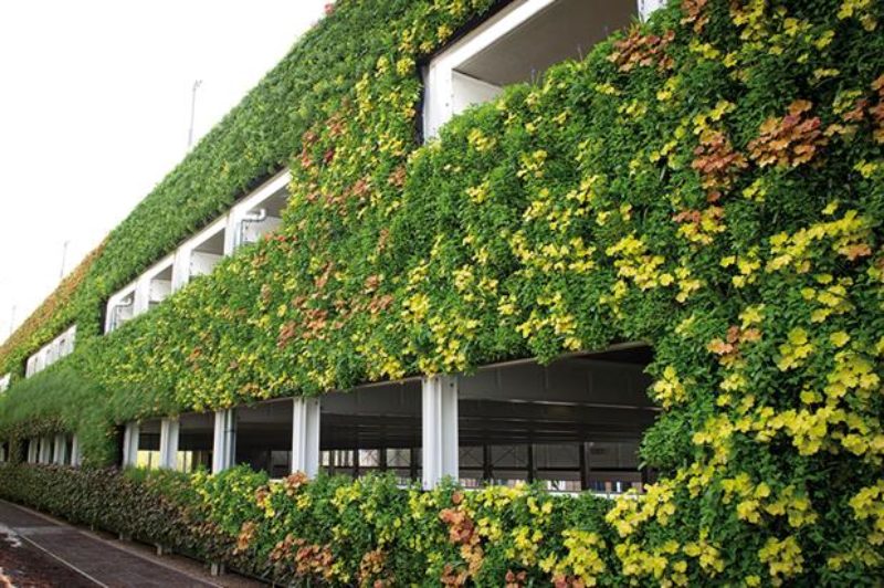 Living Wall in London